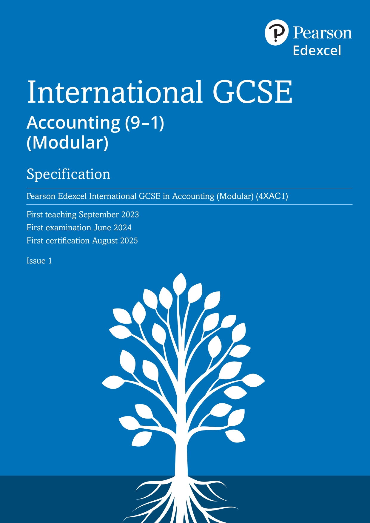 international-gcse-in-accounting-modular-specification-01.jpg